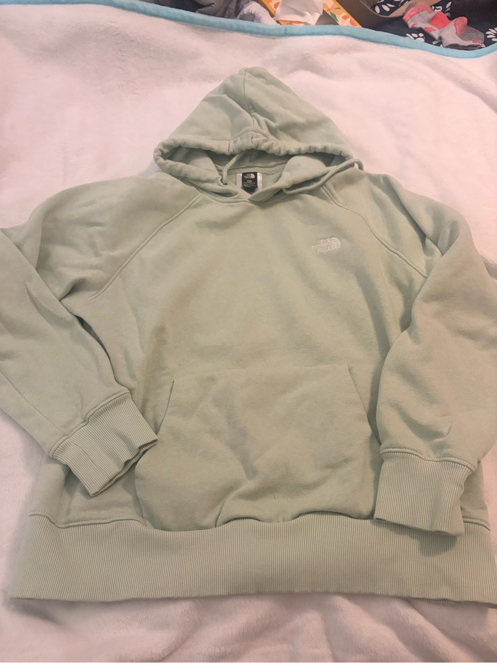 The North Face Women’s Hooded Pullover Sweatshirt - Pale Green